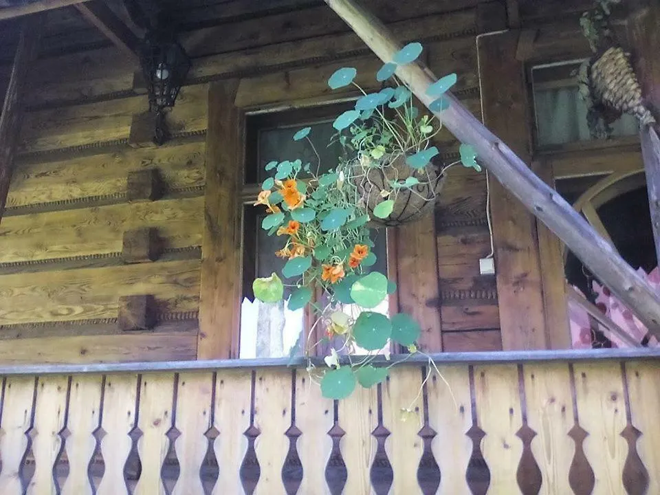 Homestay Kwatery Prywatne-Romanowka Zakopane