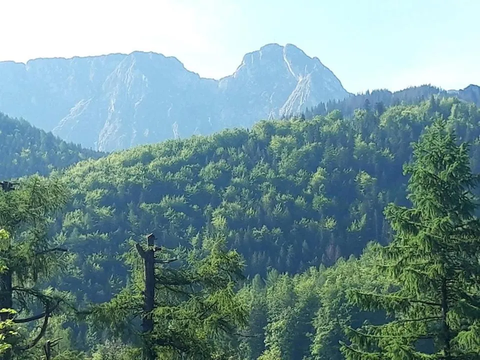 Kwatery Prywatne-Romanowka Zakopane