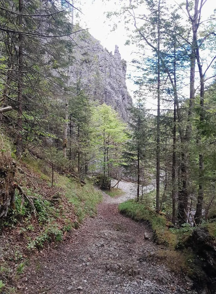 Kwatery Prywatne-Romanowka Zakopane 0*,  Lengyelország